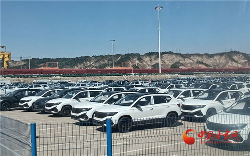 做强兰州枢纽品牌，构建高质量发展快速引擎——房屋租赁助力城市新升级